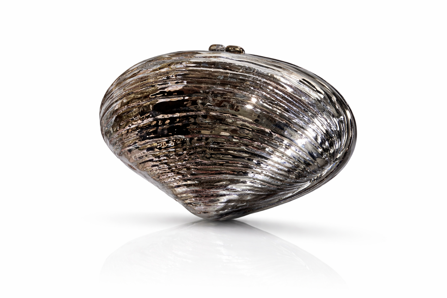Metallic Shell Clutch image